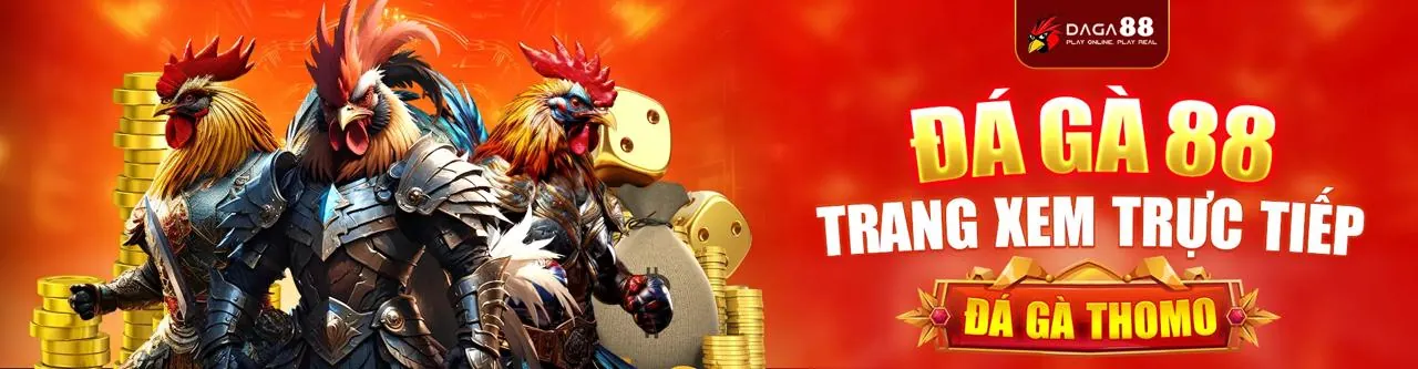 Hình ảnh tổng quan về nền tảng tiphu88 trang chủ chính thức